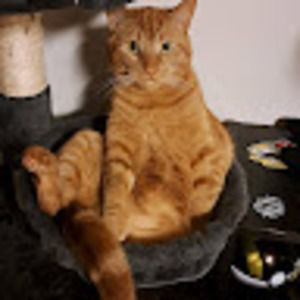 Meet your Posher, Melanie